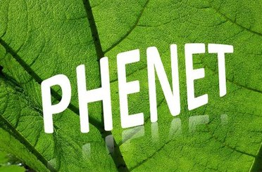 phenet