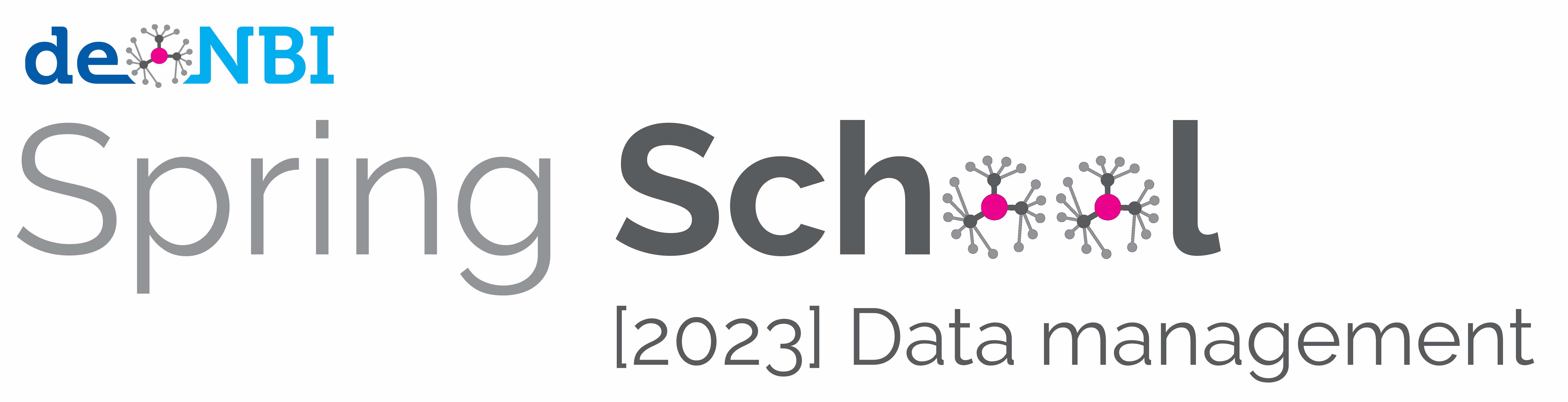 SpringSchool Logo