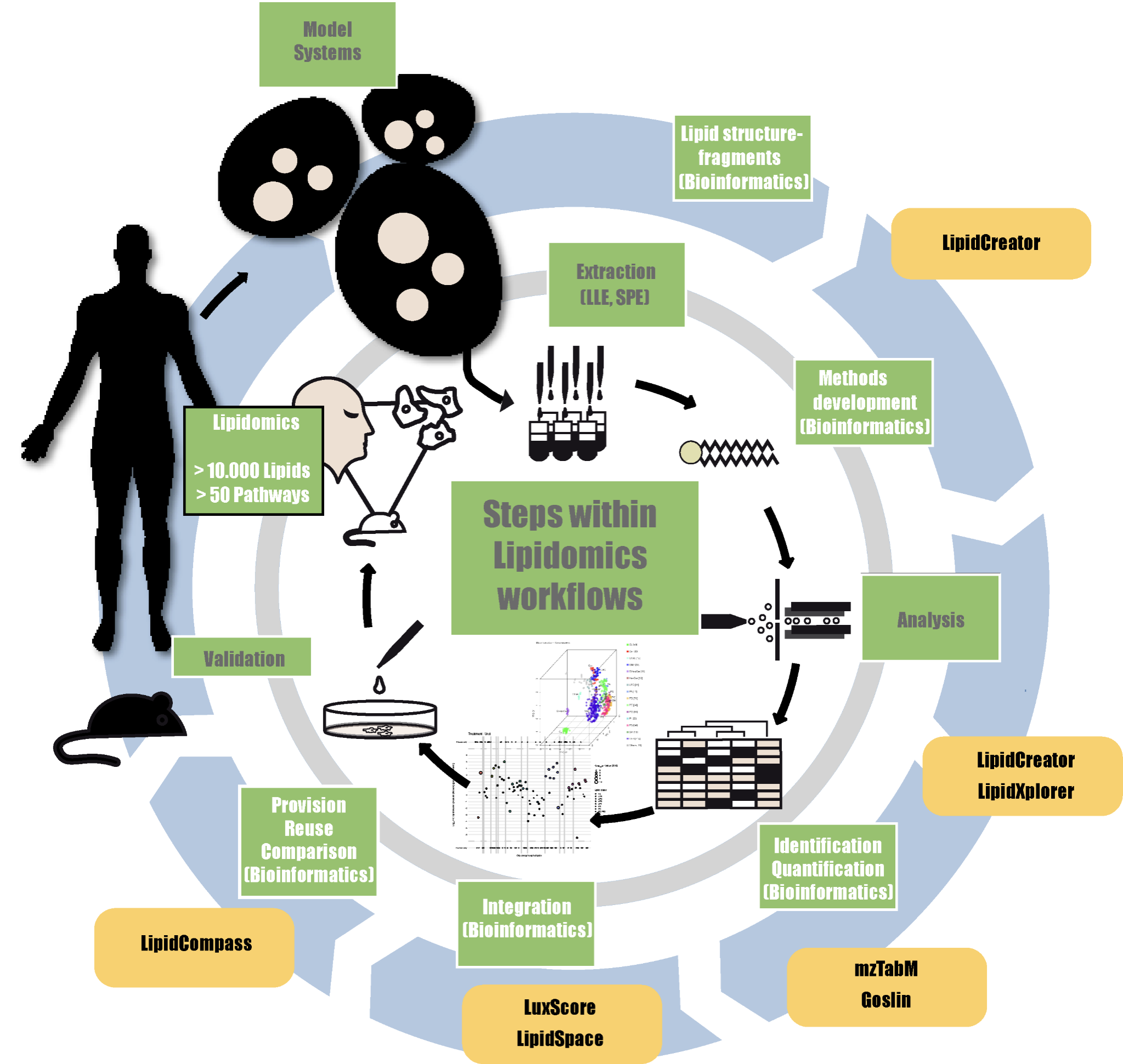 Lipidomics