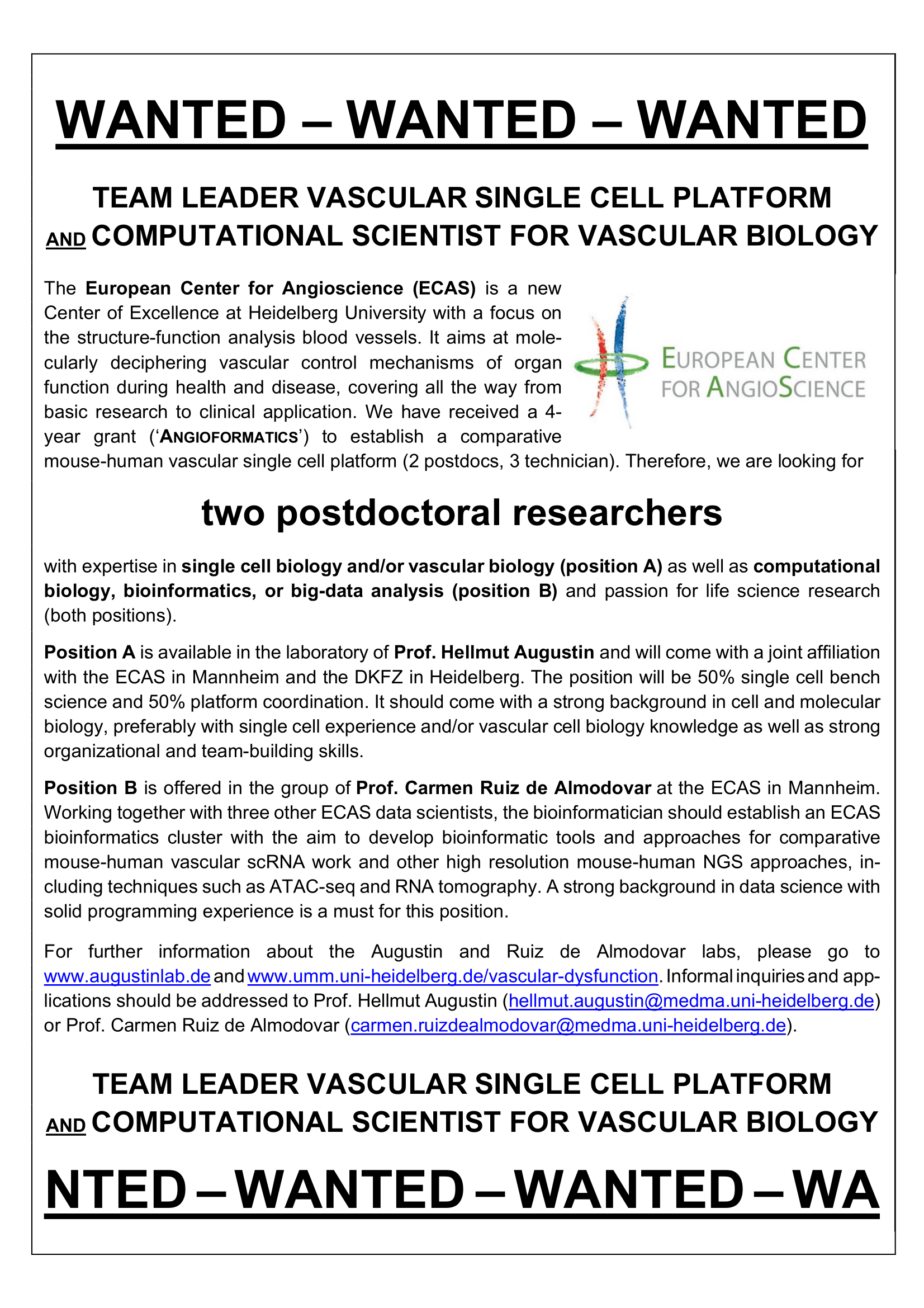 Flyer Angioformatics Positions 7 2019 1