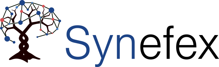 Logo Synefex