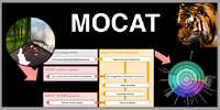 MOCAT