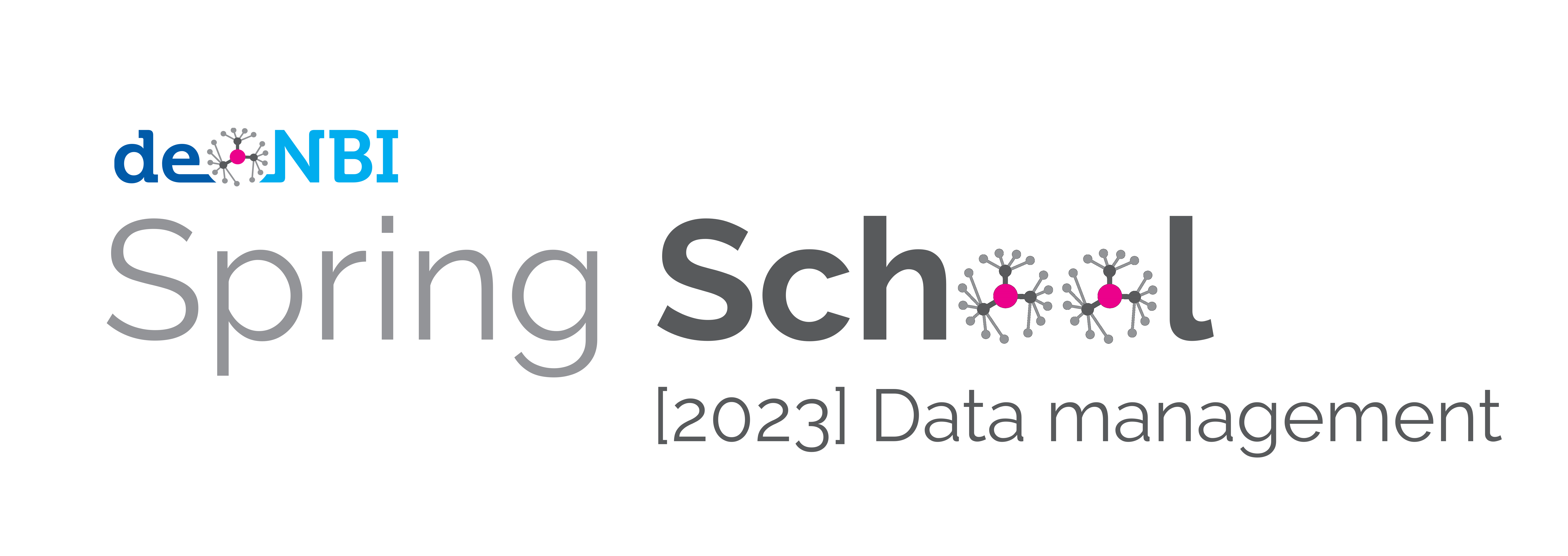 SpringSchool Logo